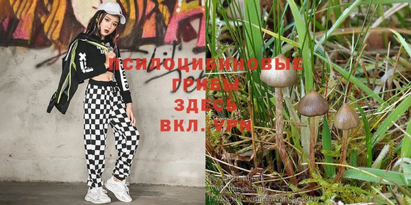 apvp Алексеевка